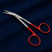 Iris Scissors — Red Curved — full.bquB_KaX