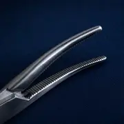 Kelly Hemostat — jaw macro.CzL1JXhj