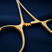 Halsey Needle Holder — TC — lock macro.joKHxnzG