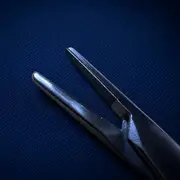 Halsey Needle Holder — TC — jaw macro.XBx31CGo