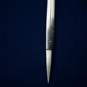 Iris Scissors — Straight — tip macro.BtYR2sKl